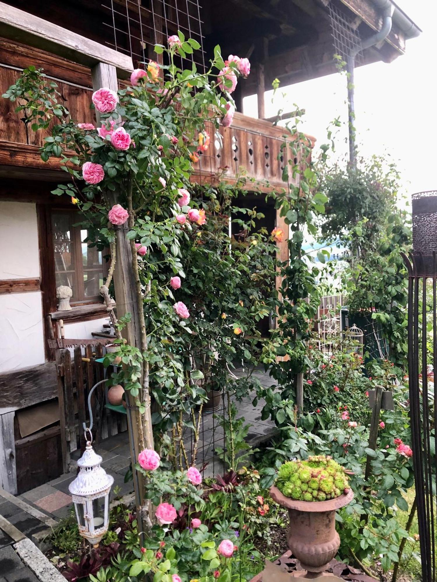 Rosenhuesli Appartement Gerzensee Buitenkant foto